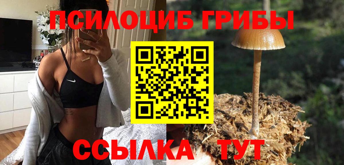 Галлюциногенные грибы MAGIC MUSHROOMS  Галлюциногенные грибы Psilocybine cubensis  Десногорск  Вход с VPN 